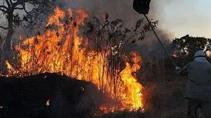 Valter Campanato/Agência Brasil