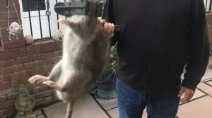 Foto: Reprodução/Redes Sociais