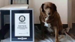 Reprodução / Youtube