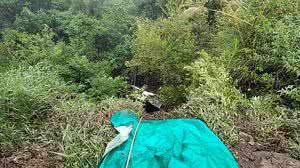 Divulgação / CBMSC