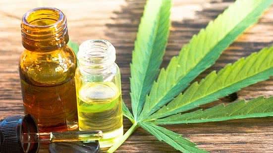 Imagem Conselho Federal de Medicina suspende resolução sobre prescrição da Cannabis medicinal