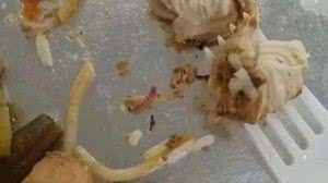 A decisão foi tomada de forma consensual | Foto: Reprodução/Redes Sociais