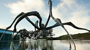 Imagem Após rompimento de barragem, Instituto Inhotim é esvaziado em MG