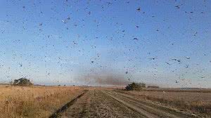 Reprodução/Governo de Córdoba-ARG