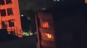 Reprodução / TV Globo