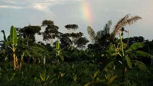 Reserva | Marcelo Camargo/Agência Brasil