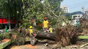 Divulgação/Prefeitura de Niterói