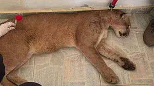 Foto: Reprodução/EM Gera