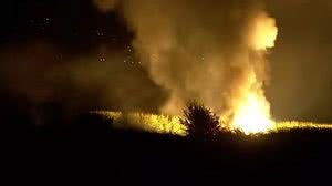 Reprodução/Euronews/Youtube