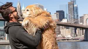 Reprodução / Arquivo Pessoal Jesse Koz