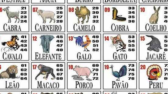 Imagem Entenda como funciona o jogo do bicho