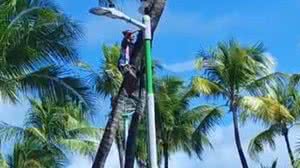 Foto: Reprodução/OPLIT