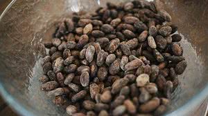 Imagem Por que o café colombiano é tão reconhecido em todo o mundo?