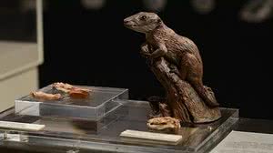 Rochele Zandavalli / UFRGS