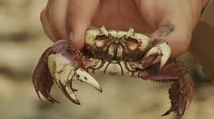 Foto: Reprodução/Rodrigo Sargaço-TG