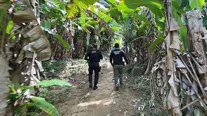 Um dos suspeitos teria se escondido em uma região de mata e se entregou à polícia | Foto: Divulgação/PC-AL