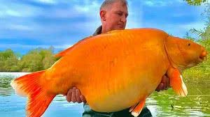 Foto: Reprodução/Redes Sociais