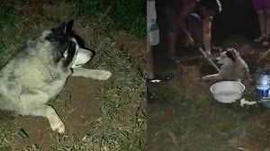 Reprodução / Facebook