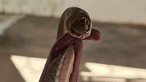 Foto: Divulgação/CBM-MG