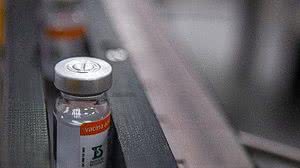 Divulgação / Instituto Butantan