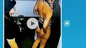 Reprodução/Whatsapp