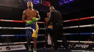 Divulgação / Boxing For You