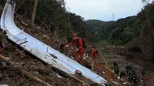 O avião, com 132 pessoas a bordo, caiu no dia 21 de março | Foto: Reprodução