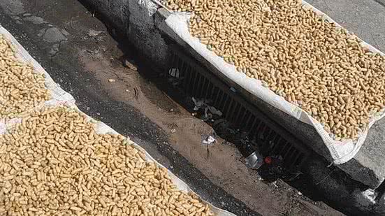 Alimento com suspeita de contaminação por fezes e urina de roedores | Vigilância Sanitária Municipal