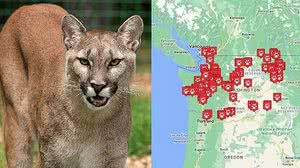 Reprodução / Pexels / WDFW