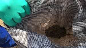 Divulgação/Prefeitura de Jaboatão dos Guararapes