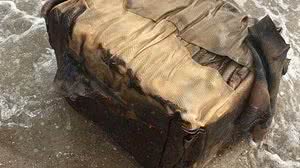 No fim do ano passado, o litoral cearense registrou casos como este em pelo menos três municípios. | Whatsapp/O POVO