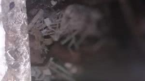 Cortesia ao TNH1/Ariel Miranda