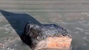 Blocos também foram encontrados em litoral alagoano | Reprodução / TV Tropical