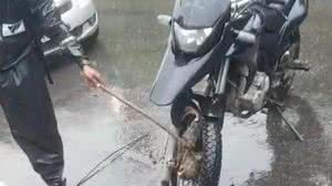 Reprodução/Twitter