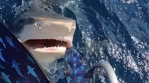 Foto: Reprodução/Redes Sociais