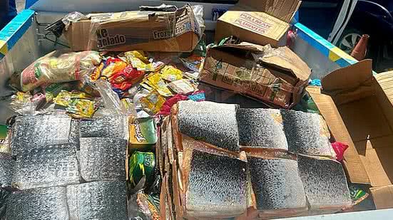 Foto: Divulgação/Visa Maceió