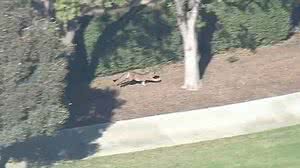 Reprodução / Youtube