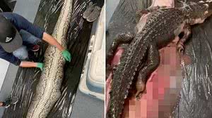 Foto: Reprodução/Redes Sociais