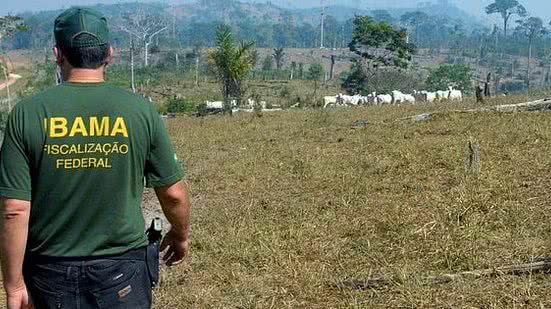 As oportunidades são para cidades dos estados do Acre, Amazonas, Bahia, Goiás, Maranhão, Mato Grosso do Sul, Piauí, Pará, Rondônia, Tocantins, Ceará, Pernambuco, Rio de Janeiro e no Distrito Federal | Foto: Arquivo / Agência Brasil