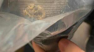 Foto: Reprodução/BBC News