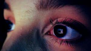 Reprodução / Vix / Shutterstock