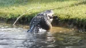 Reprodução / Twitter