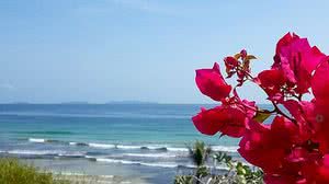 Primavera começou com aumento de temperatura | Reprodução