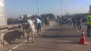 Reprodução/TV Globo