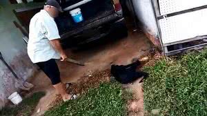 Reprodução / Redes Sociais