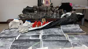 Material foi apreendido próximo a Batalha | PF / Assessoria