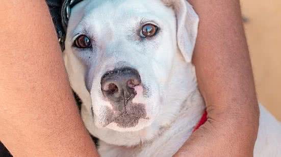 Foto: Divulgação/Ascom SMS