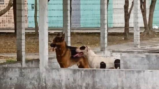 Reprodução/Aqui Acontece