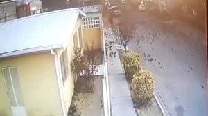 Imagem Impressionante: centenas de pássaros caem mortos em cidade do México; veja o vídeo