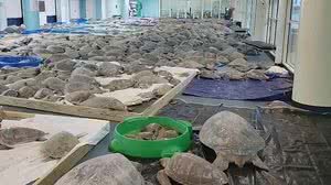 Reprodução / CNN Brasil